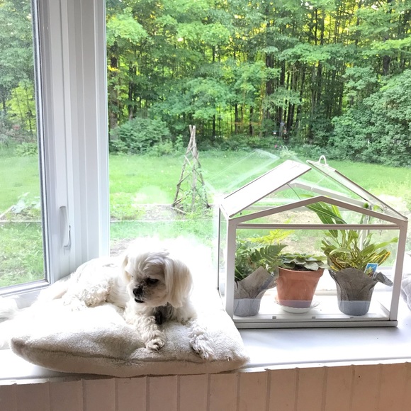 Meet your Posher, Dana - Picture 1 of 1